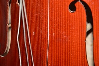 Celloschaden Sturz aus dem Staender.